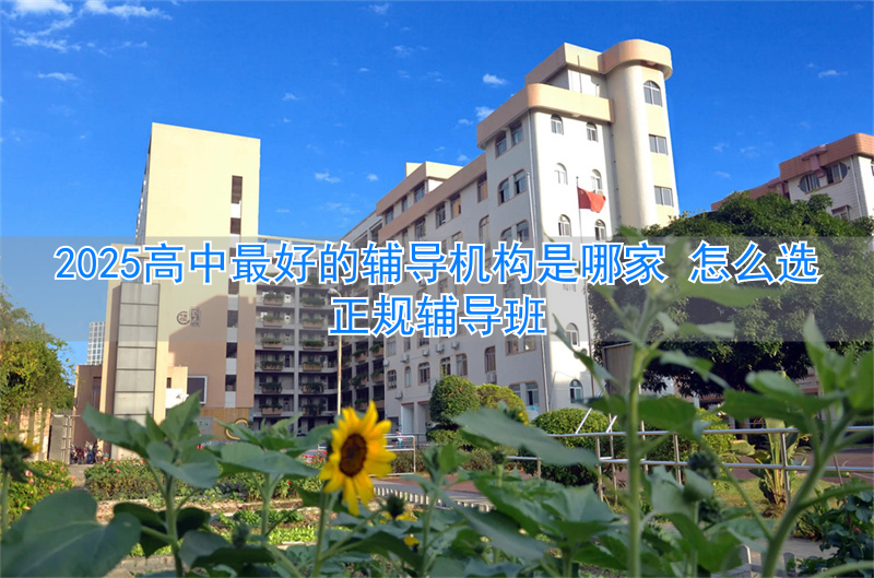 辅导选正规高中班机构好吗__好的高中辅导班