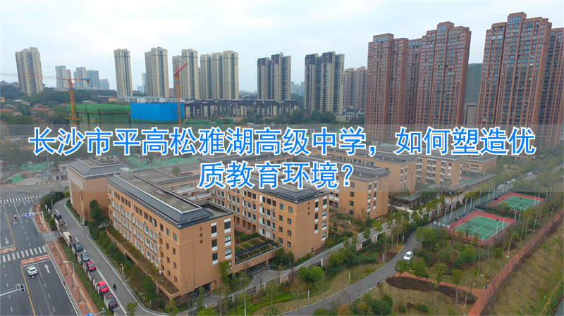 长沙雅什么中学_雅湖小学怎么样_