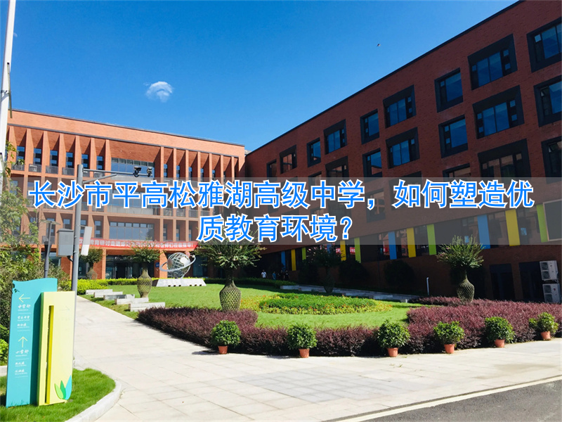 雅湖小学怎么样__长沙雅什么中学