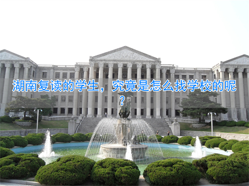 复读学校湖南省_湖南复读学校一般要多少钱_