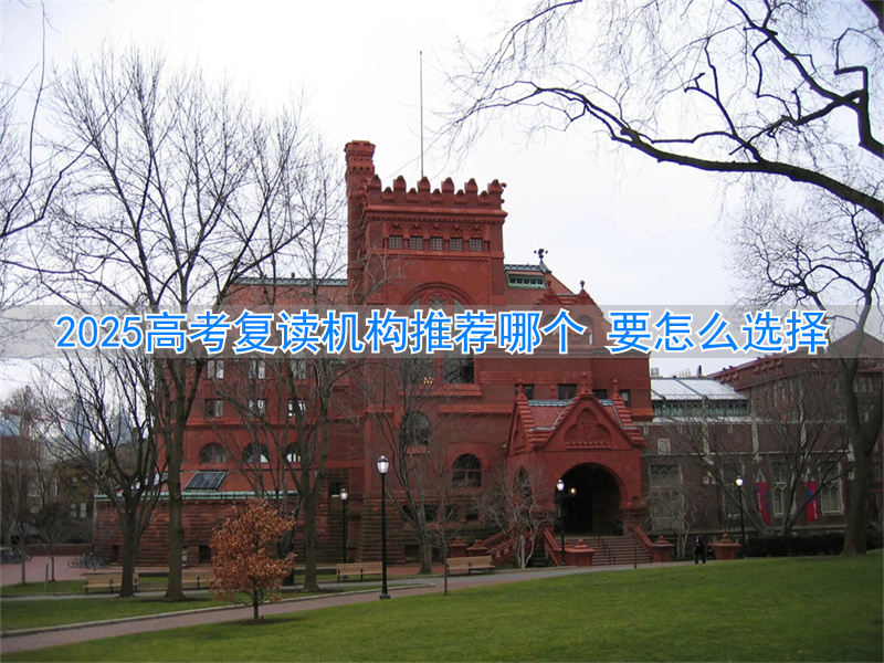 新高考复读机构_高考复读班高考复读学校排名_