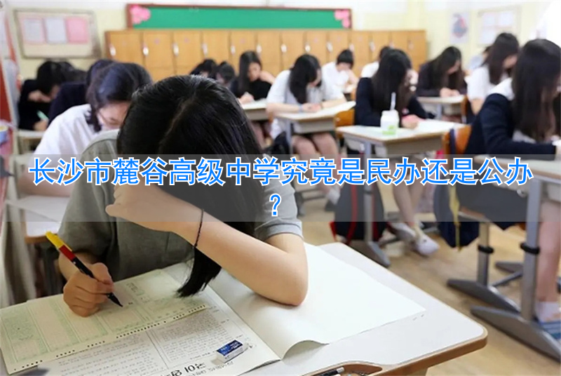 麓谷最好的中学__长沙麓谷私立小学