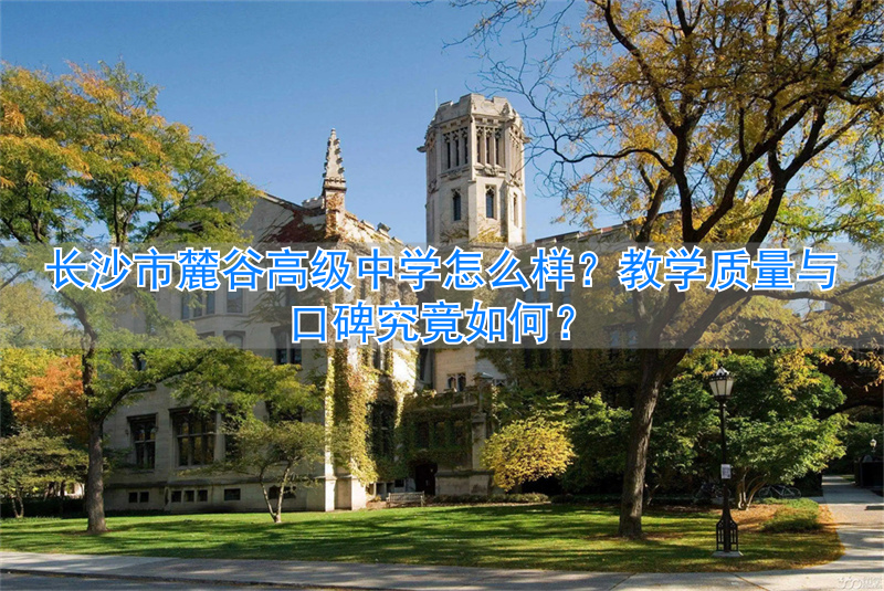 _长沙麓谷中学排名_长沙麓谷一中