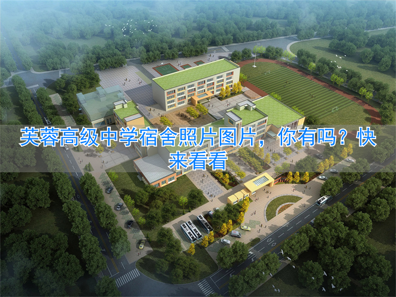 芙蓉学校有高中吗__有芙蓉花的图片吗