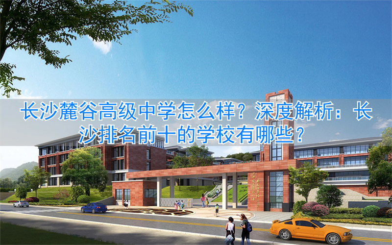 长沙麓谷有哪些高中_麓谷最好的中学_