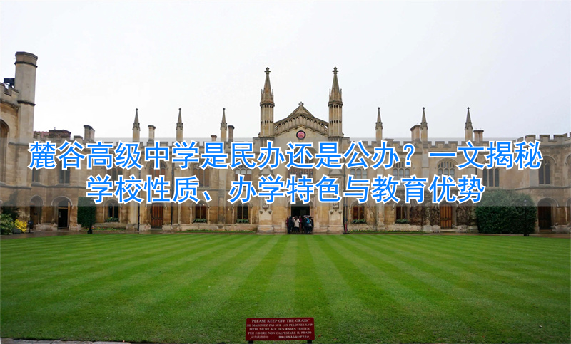 _致远中学是公办还是民办_昆明第一中学公办还是民办