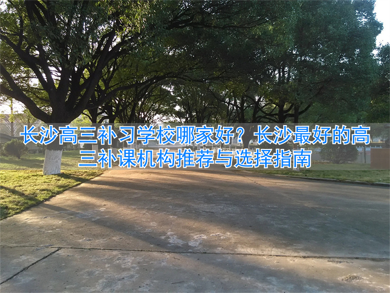 长沙高三课外辅导机构哪家好_长沙高三一对一补课价格_