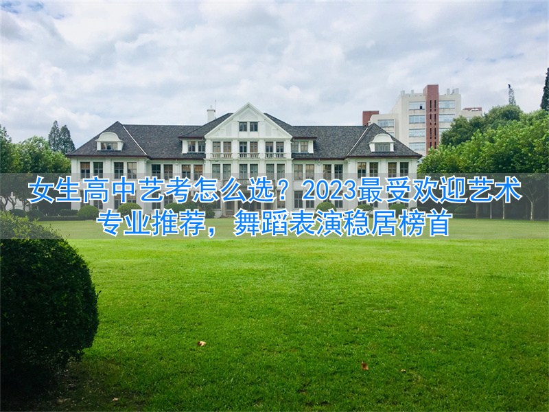 高中女生学什么艺术专业比较好_女生高中学艺术好不好_