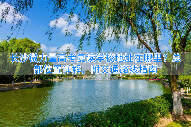 长沙微力量复读学校_长沙高考复读班_