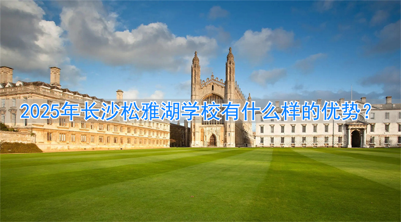 长沙松雅湖学校教学质量好吗__长沙县松雅湖小学教育集团