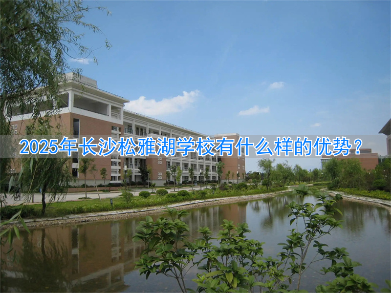 长沙松雅湖小学怎么样__长沙松雅湖附近的学校