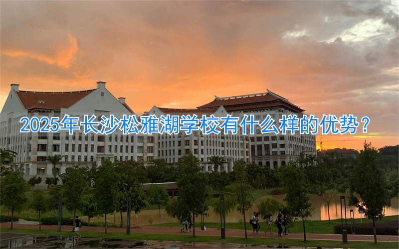 _长沙松雅湖附近的学校_长沙松雅湖小学怎么样