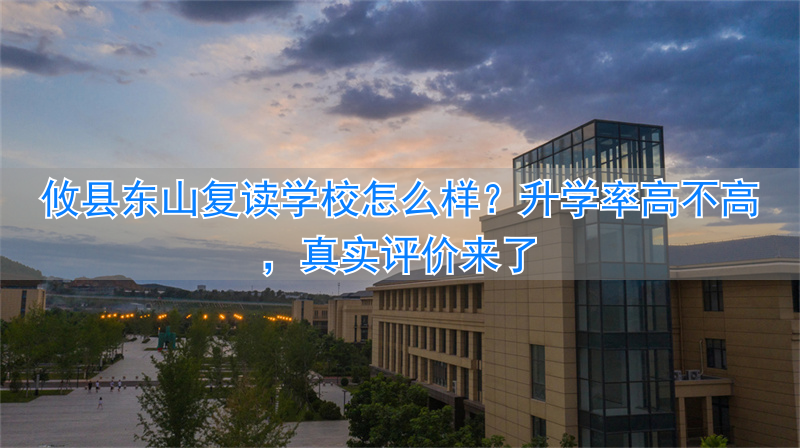 _攸县东山学校升学率_攸县东山复读学校地址