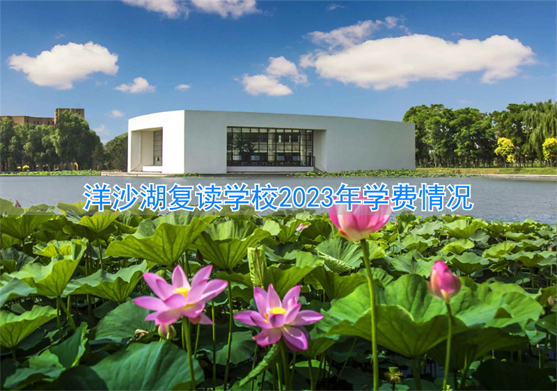 洋沙湖复读收费标准__洋沙湖复读报名