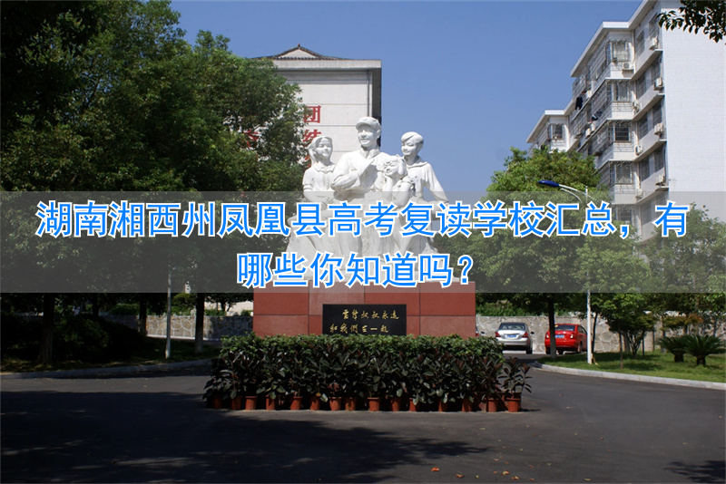 湖南湘西复读学校_湘西凤凰高级中学高考录取榜_