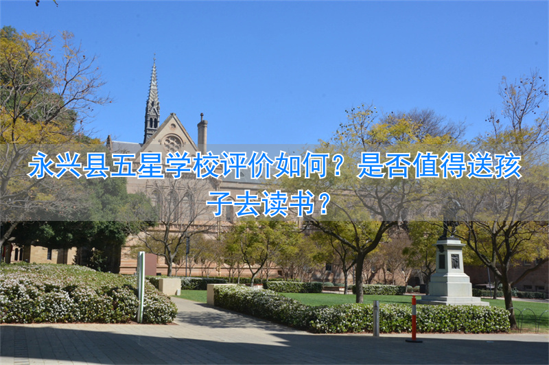 五星少年读书之星150字_五星读书法_