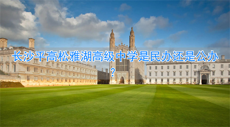 _雅湖小学怎么样_雅湖里属于哪个小学