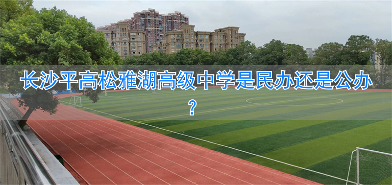 雅湖小学怎么样_雅湖里属于哪个小学_