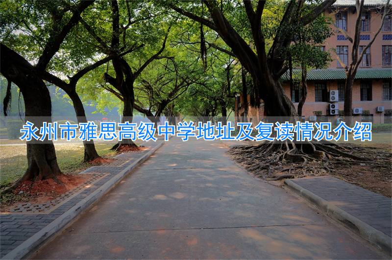 _雅思中学学费_雅思实验中学