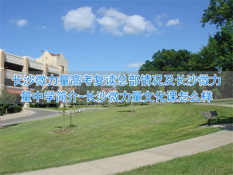 _长沙微力量文化课怎么样_长沙微力量复读好不好