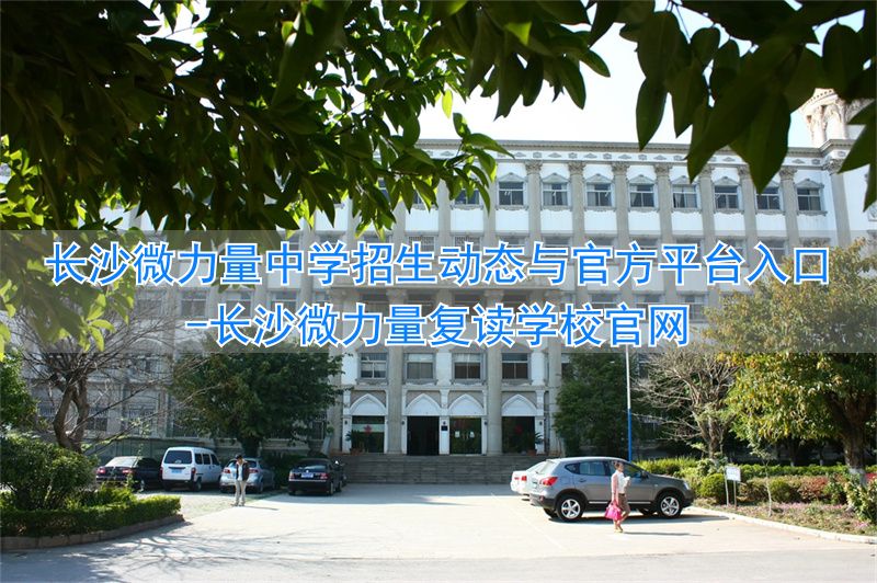 长沙力量国际学什么的_长沙微力量复读学校官网_