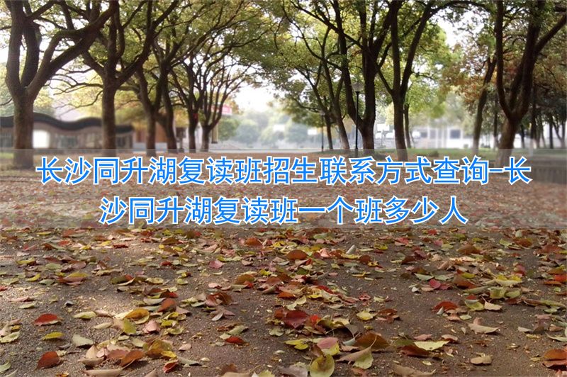 长沙同升湖学校复读一年多少钱_长沙同升湖复读班一个班多少人_