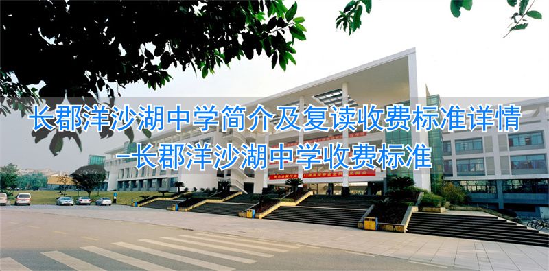 长郡洋沙湖中学是民办还是公办__长郡洋沙湖中学收费标准