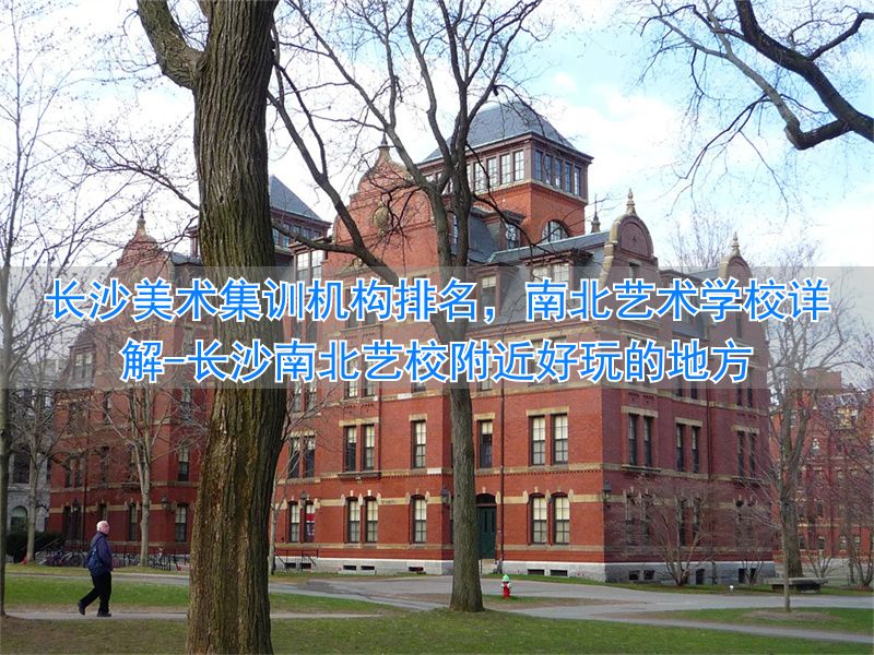 长沙南北艺术培训学校怎么样__长沙南北艺校附近好玩的地方